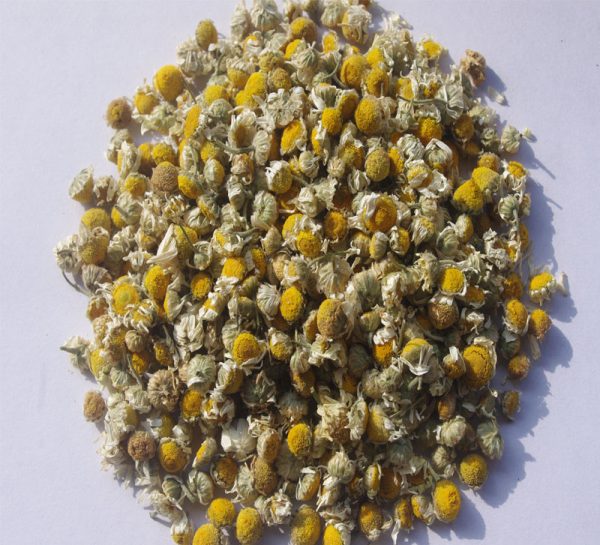 Chamomile - Premium