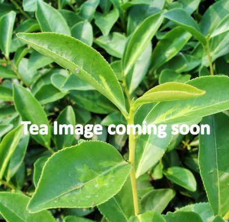Hattialli Golden Delight, Assam 2nd fl