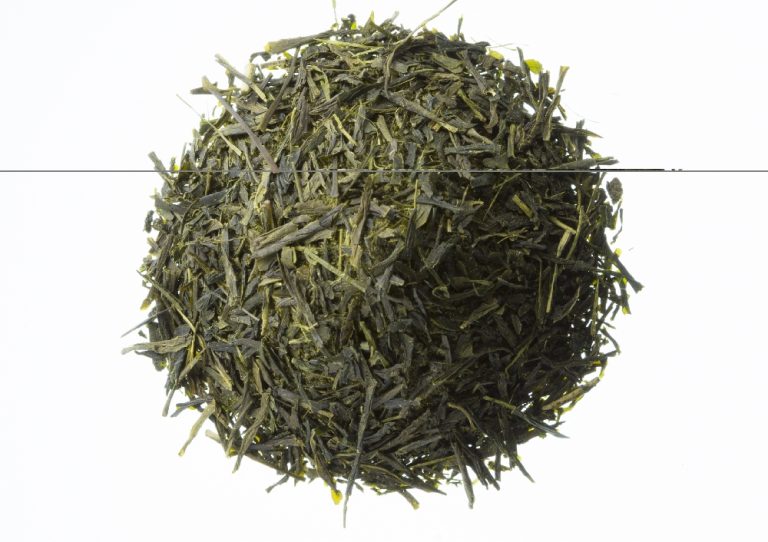 Sencha