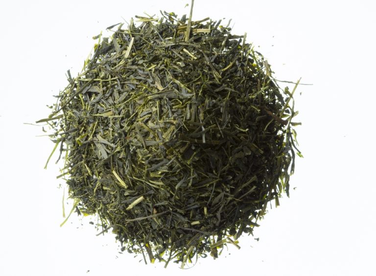 Sencha - Premium