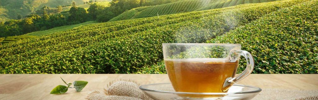 Taiwan teas