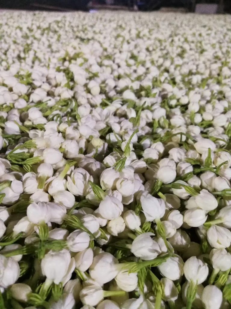 Taiwan teas