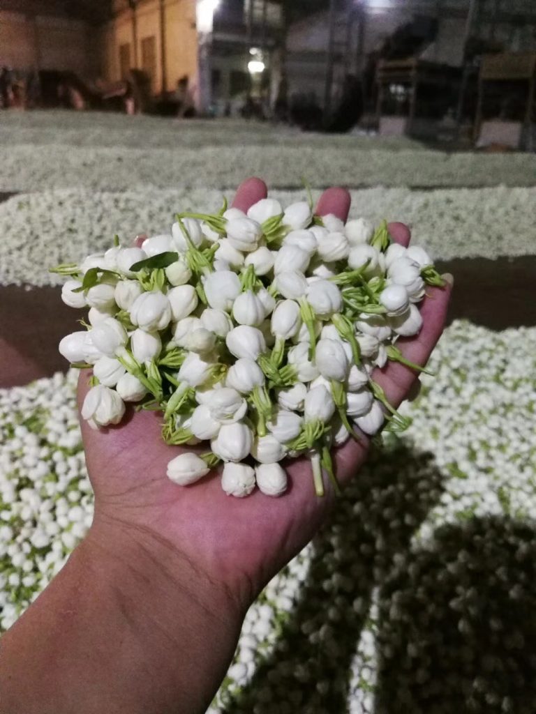 Taiwan teas